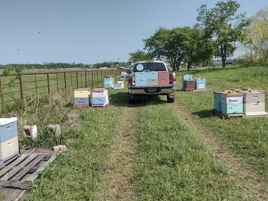 Spring Beekeeping: Preparing for a Thriving Hive and the Upcoming Honey Flow