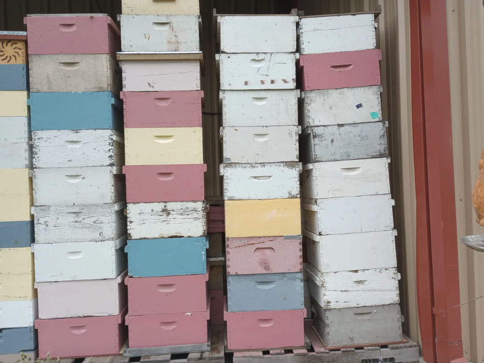 So, you want to be a beekeeper...