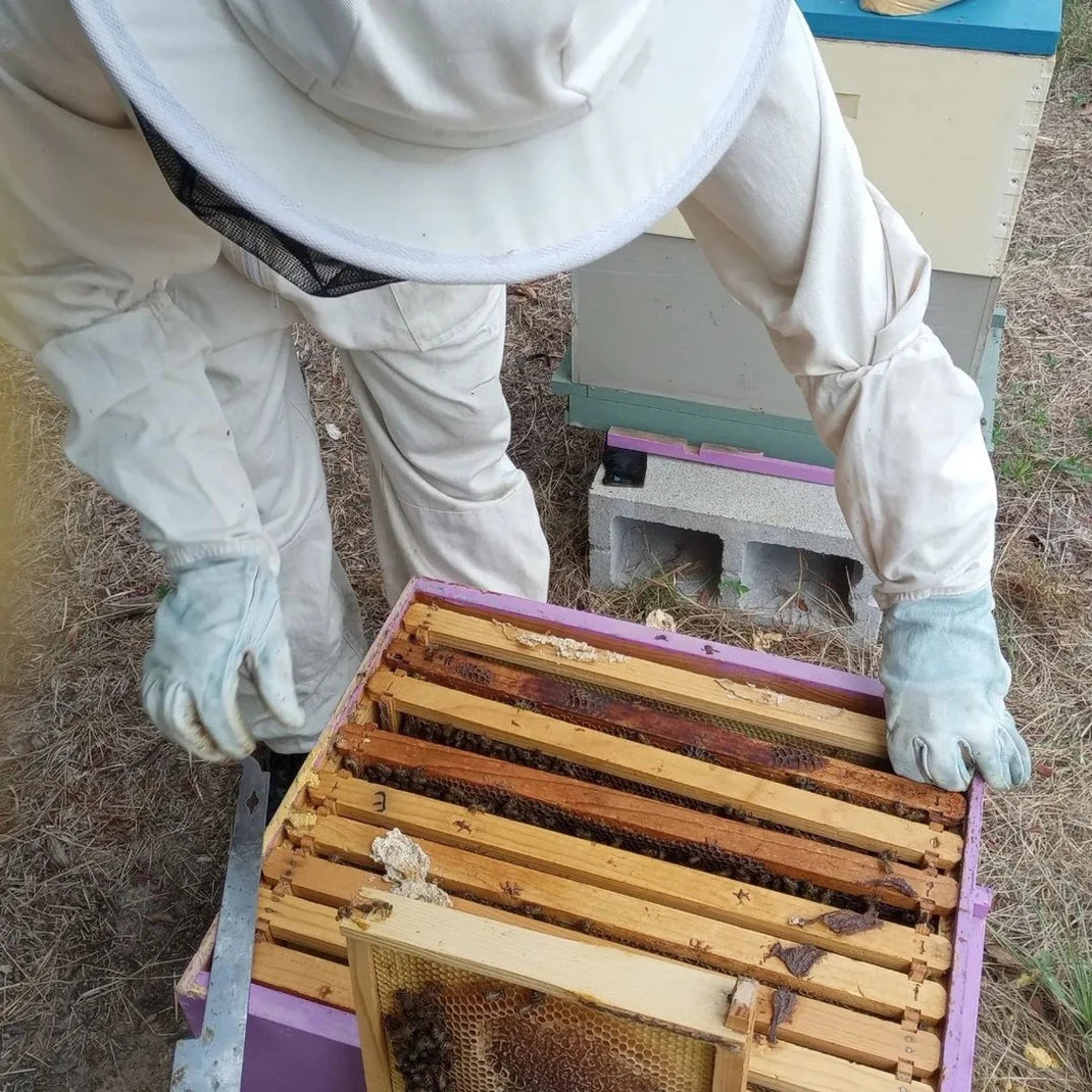Beginner Beekeeping Class