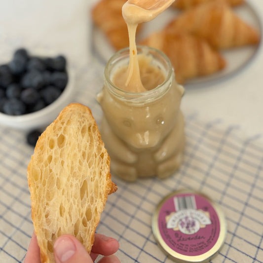 Teddy Jar 12 oz Creamy Honey