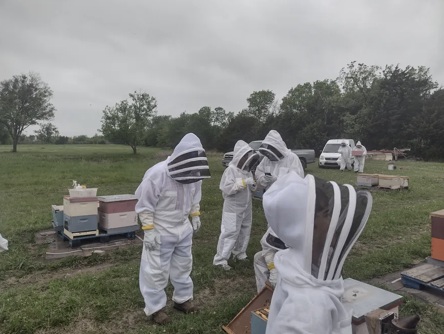 Hive Mentoring