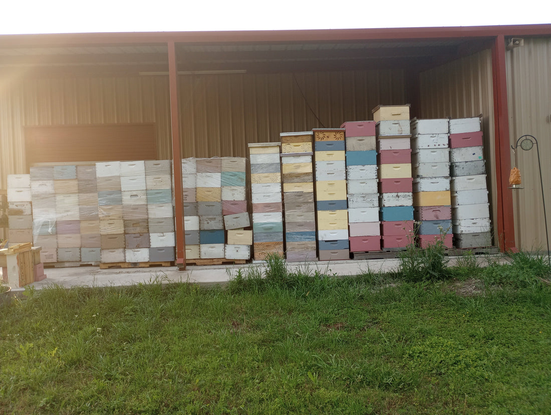 Finding Great Deals on Beekeeping Equipment: How to Save While Supporting Your Hive